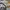 GU Streetwear Sportswear Sweatpants & Joggers Pria multicolor photo 6