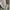 Rocawear Streetwear Y2K Hoody Pria gray photo 6