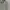 Rocawear Streetwear Y2K Hoody Pria gray photo 4