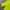 Streetwear Casual Windbreaker Pria green photo 7