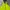 Streetwear Casual Windbreaker Pria green photo 4