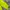 Streetwear Casual Windbreaker Pria green photo 6