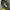 Streetwear Casual Windbreaker Pria green photo 8