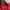 Old Navy Casual Puffer jacket Pria red photo 4