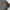 Casual Puffer jacket Pria gray photo 4