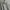Puma Casual Polo shirt Pria gray photo 6