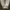 Billabong Vintage Y2K Short Pria gray photo 1