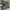 Billabong Vintage Y2K Short Pria gray photo 2