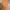 Harley Davidson Y2K Casual T-shirt Pria orange tan photo 3