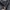 Alpha Industries Vintage Y2K Parka Pria black photo 4