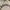 Barbour Streetwear Luxury Hoody Pria gray photo 1