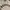 Barbour Streetwear Luxury Hoody Pria Gray