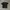 The North Face Gorpcore Sportswear T-shirt Pria black photo 1