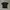 The North Face Gorpcore Sportswear T-shirt Pria Black