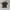The North Face Gorpcore Sportswear T-shirt Pria black photo 4
