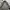 Jack Wolfskin Gorpcore Puffer jacket Pria tan brown photo 7