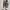 Converse Casual Sneakers Pria brown photo 1