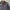 Dickies Vintage Streetwear Harrington jacket Pria navy gray photo 2