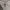 Japanese brand Streetwear Luxury Hoody Pria gray photo 2