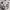 Coogi Streetwear Y2K Hoody Pria multicolor white photo 1