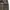 Dickies Streetwear Y2K Jeans Pria green khaki photo 5