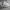 Nike Air Jordan Casual Sneakers Pria white photo 2
