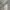 Uniqlo Vintage Streetwear Sweatshirt Pria gray photo 4