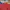 MLB Streetwear Sportswear Polo shirt Pria multicolor photo 2