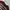 Mind Bridge Streetwear Y2K Formal shirt Pria burgundy photo 2