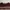 Mind Bridge Streetwear Y2K Formal shirt Pria burgundy photo 3