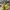 Nike Sportswear Casual Sneakers Pria yellow cream photo 4