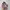 Asics Casual Sneakers Wanita pink gray photo 3