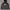 Marithè Fràncois Girbaud Luxury Casual Hoody Pria black photo 1