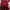 Nike Air Jordan Luxury Sportswear Sneakers Pria red photo 3