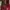 Nike Air Jordan Luxury Sportswear Sneakers Pria red photo 1