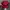Logo Realtree magenta Camo photo 4