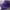 Logo Purple Realtree Camo photo 3