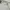 Guy Laroche Luxury Casual Formal shirt Pria white photo 3
