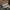 Compass Casual Sneakers Pria cream photo 4