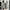 Adidas Sportswear Casual Sneakers Wanita multicolor photo 2