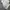 H&M Minimalist Casual Formal pants Pria gray photo 2
