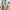 Adidas Streetwear Casual Sneakers Pria green white photo 4