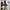 Adidas Streetwear Casual Sneakers Wanita multicolor photo 4