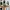 Adidas Streetwear Casual Sneakers Wanita multicolor photo 5