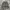 Y2K Short Pria gray photo 4