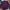 Valentino Streetwear Sportswear Formal shirt Pria multicolor photo 3