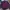 Valentino Streetwear Sportswear Formal shirt Pria multicolor photo 1