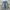 Vintage Y2K Short Pria navy blue photo 1