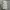 Y2K Casual pants Pria tan photo 2