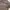 Streetwear Skater Suit Pria brown gray photo 2